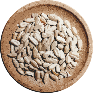 Beställ solrosfrö till fåglarna för halva priset! - linhagen.se