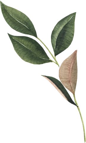 leaves_0003_4